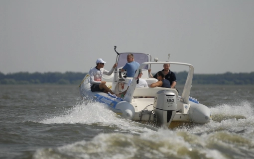 Sarud. A Tisza-tó Gyöngyszeme